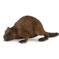 Collecta Bobr
