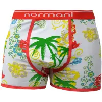 Normani Boxers jaune / vert / rouge / blanc