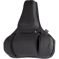 Fellowes 8041801 Support dorsal Professional Series - 365 x 375 x 55 mm, noir