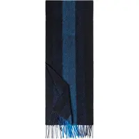 Roeckl Écharpe 'ELEVATED CASHMERE' saphir / noir