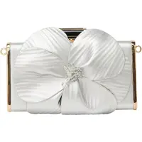 NAEMI Pochette argent