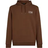 O'Neill Original Cali Logo Hoodie Marron XL Homme