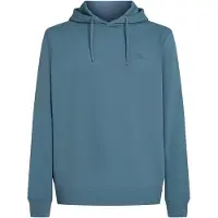 O'Neill Small Logo Hoodie Bleu S Homme