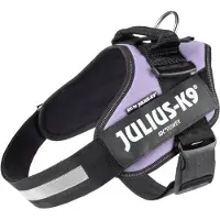 JULIUS K-9 Idc Power Dog Harness Violet L-1