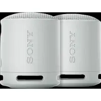 Sony SRS-XB100 Lot de 2 Gris