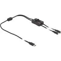 DeLOCK Câble USB Type-C vers 2 x DC 5,5 x 2,1 mm, 1 m -