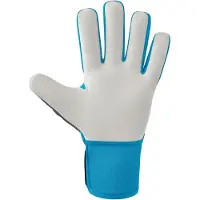 Erima Flex-ray Protect Goalkeeper Gloves Bleu 3