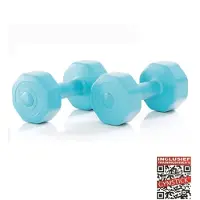 Gymstick Vinyl S 2 X 5kg Dumbbell Noir 5 kg