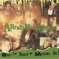 Import When the Punks go marching in! - 2 LP