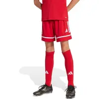 Adidas Pantalon de sport 'Squadra 25' rouge carmin / blanc
