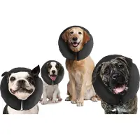 Zenpet Pro Collar - M