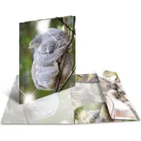 Herma Sammelmappe A4 Motiv