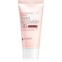 Mizon Gel visage à base d'escargot à formule multifonction avec extrait de bave d'escargot 45 ml