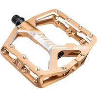 Leatt All Mountain 6.0 Flat 114x100 Mm Pedals Doré
