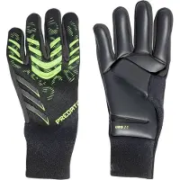 Adidas Predator Pro Goalkeeper Gloves Noir 10