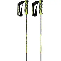 Gabel Bâtons Gs Carbon-r