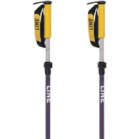 Line Paintbrush Poles Violet 100-133 cm