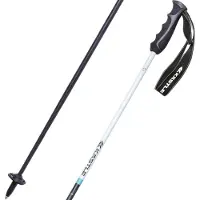 Kästle Piste Ca100 Poles Argenté 135 cm