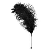 Bad Kitty - Martinet caresse court, manche en acrylique (noir)
