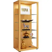 VCM Bois verre vitrine de collection vitrine de verre vitrine de stand vitrine Glasol lll Bois verre vitrine de collection vitrine de verre vitrine de stand vitrine Glasol lll