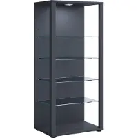 VCM Bois verre vitrine de collection vitrine de verre vitrine de stand vitrine Glasol lll Bois verre vitrine de collection vitrine de verre vitrine de stand vitrine Glasol lll