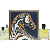 Hermès Paris Terre D'Parfém 75 ml + Parfém 15 ml + SG na tělo i vlasy 40 ml M