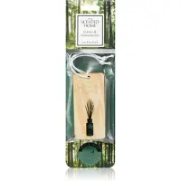 Ashleigh & Burwood London Citrus & Sandalwood désodorisant voiture 2 pcs