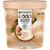 Garnier Teinture Permanente Bonne 9.1 Blond Vanille