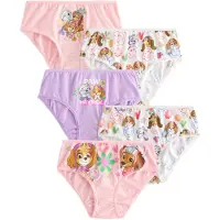 Next Sous-vêtements 'Paw Patrol' marron / violet clair / rose / blanc