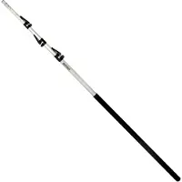 Berger Canne télescopique ArboRapid L.1750-5900mm 4 pièces
