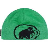 Mammut Tweak Beanie Vert