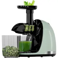 Kitchenbrothers Slowjuicer - Presse-agrumes - Presse-légumes et fruits - 700ml - Avec récipient à pulpe - Extracteur de jus - Cadeau de fête des mères - Vert pastel