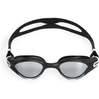 Arena The One Plus Mirror Swimming Goggles Noir