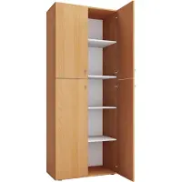 VCM Armoire de bureau Livres Dossiers Meuble de bureau Armoire Lona 5 compartiments portes battantes Armoire de bureau Livres Dossiers Meuble de bureau Armoire Lona 5 compartiments portes battantes