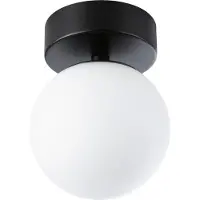 Paulmann Selection Bathroom LED Plafonnier Gove