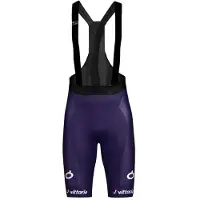 Wilier Vittoria Shorts Violet 2XL Homme