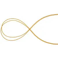 Mammut Accessory 5 Mm Rope Doré 150 m