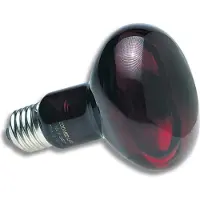 Zoo med Lumière Rouge Chauffante Infrarouge