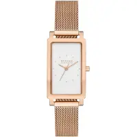 Skagen Montre Femme Skagen Lille Montre Bracelet