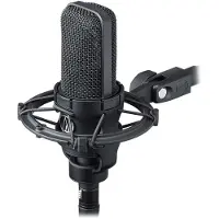 Audio-Technica AT4033 ASM