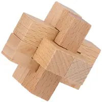 Lifetime Houten Breinpuzzel