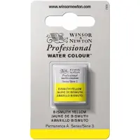 Winsor & Newton Professional Peinture aquarelle Demi-godet (Série 3) Oxide of chromium