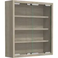 VCM Bois verre suspendu vitrine murale collectionneur vitrine Agisa S Bois verre suspendu vitrine murale collectionneur vitrine Agisa S
