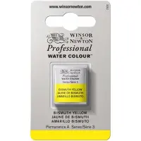Winsor & Newton Professional Peinture aquarelle Demi-godet (Série 3) Permanent carmine