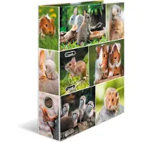 Herma Dossier A4 Motif (A4, 70 mm, 1 pcs)