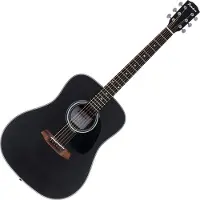 Pasadena PD-100 Black Guitare acoustique