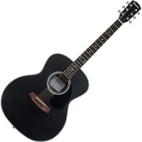 Pasadena PG-100 Black Guitare acoustique Jumbo