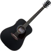 Pasadena PD-200E Black Guitare Dreadnought acoustique-électrique