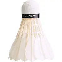 Carlton Volants De Badminton Gt4 Smedium