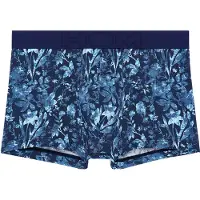 Hom Boxer